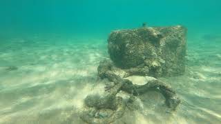 Caribe Hilton PR Snorkeling [upl. by Esil757]