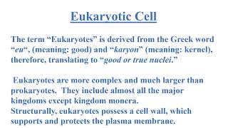 Difference between Prokaryotic and Eukaryotic Cells Video No 518 [upl. by Alyam]