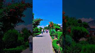 Most beautiful garden in kashmir  kokernag  💐 shortvideos shorts viral kokernag shortsviral [upl. by Dnalyk]