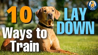 10 Ways To Teach A Dog To Lay Down And How To Shape It Without Luring 145 podcast [upl. by Genia]