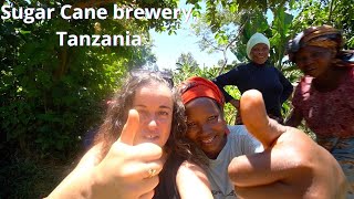 CULTURAL TOURISM TANZANIA  VISITING A SUGAR CANE BREWERY IN THE USAMBARA MOUNTAINS [upl. by Niasuh105]