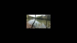 BARA ARDABILI LIVE STREAMING WILD FISHING [upl. by Urita]