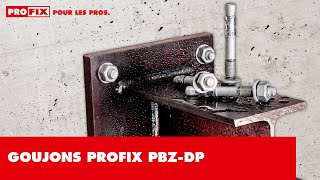 Goujons PROFIX PBZDP [upl. by Irrehc]