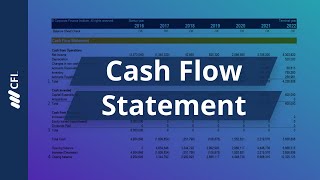 Cash Flow Statement [upl. by Atrice]