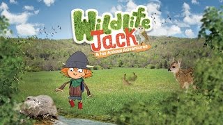 NEW Disney Junior show  WILDLIFE JACK  I WANT TO FLY [upl. by Chandler]