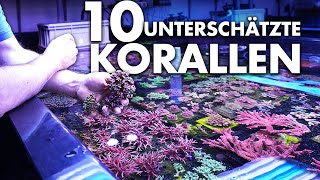 10 unterschätzte Korallen für dein MEERWASSERAQUARIUM  Fauna Marin [upl. by Octave]