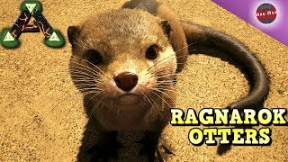 RAGNAROK OTTERS TAMING SPREE  RAGNAROK  ARK SURVIVAL EVOLVED [upl. by Zoellick]