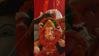 Ganpati Bappa morya 🥰♥️🥹 raghav9718 [upl. by Glynias372]