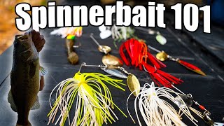 How to Use a Spinnerbait Bass Fishing [upl. by Vanni35]