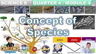 Concept of Species Science 8 Quarter 4 Module 4 Taxonomy Classification DomainsKingdomSpecies [upl. by Dinesh831]