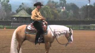 Reining 101  Andrea Fappani [upl. by Andrus]