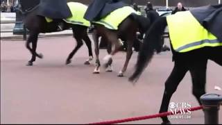 Police Taser Man with knives at Buckingham Palace [upl. by Comfort721]