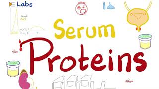 Albumin amp Globulins Alpha Beta amp Gamma  Plasma Proteins and Electrophoresis  Labs [upl. by Nirag]