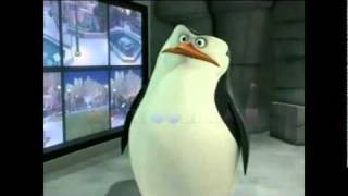 Los pingüinos de Madagascar  Nuevos Episodios [upl. by Ellek184]