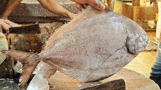 Black Pomfret Fish Cutting Skills by Expert Fish Cutter  Amazing Fish Cutting Skills [upl. by Karla]