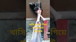 দেশি কসাই এর আচরণ। [upl. by Etnauj]