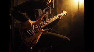 Fate Mystified  Aboriginal Bass Playthrough [upl. by Neelyt759]