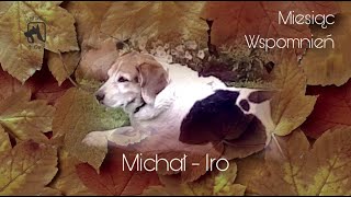 Miesiąc Wspomnień  Michał  Iro 🎈 [upl. by Amatruda]