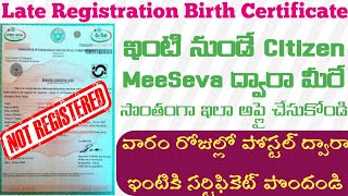 Late Registration Birth Certificate Apply in TeluguHow to apply Late birth certificate In Telangana [upl. by Lecrad]