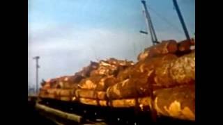 Trip to the Chemainus log dump by MacMillan Bloedel locomotive 1044 in the late 1960s [upl. by Erastes]