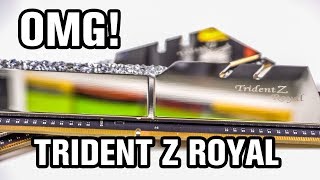 GSKILL Trident Z Royal RGB Memory [upl. by Yednarb]