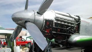 Great OLD PROPELLER Airplane Engines Cold Starting up and Heavy Sound [upl. by Buddy497]