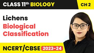 Lichens  Biological Classification  Class 11 Biology Chapter 2  NCERTCBSE [upl. by Ecinnaj]