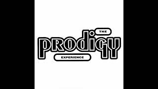 The Prodigy  Charly Trip Into Drum and Bass Version Slow Version [upl. by Cornie]