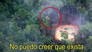 En esta Selva se Esconde el INSECTO más Extraño del Planeta Dicen que es EXTRATERRESTRE [upl. by Jordon]