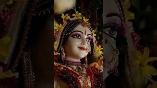 Sahaj Subhav Paryo Naval Kishori  Sahaj Swabhav  Radha Rani [upl. by Karlie]