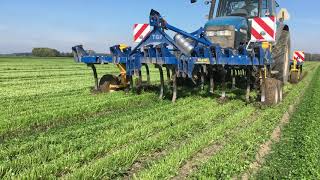 The dream team the Treffler TGA and TF Cultivators in cover crop [upl. by Northington]