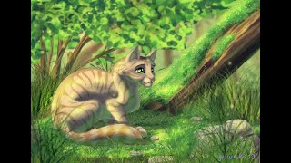 Warrior Cats Pause Game  Warriors OC Maker [upl. by Nedroj]