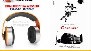 GROCHÓW  Andrzej Stasiuk  AudioBook do słuchania w podróży MP3 [upl. by Nestor]