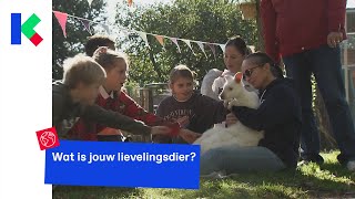 Het is vandaag Werelddierendag [upl. by Ike]