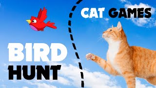 CAT GAMES BIRDS HUNT ★ games on screen for cats [upl. by Ailuig]