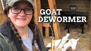 DEWORMING GOATS 🐐 [upl. by Stultz]