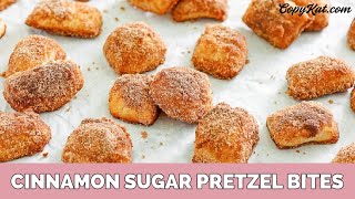 Cinnamon and Sugar Pretzel Bites [upl. by Oicafinob]