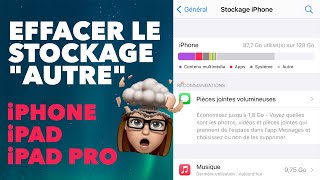 Effacer le stockage quotAUTREquot Données système sur iPhone iPad iPad Pro [upl. by Akayas]