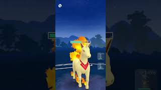 Pokemon go battle great ligue shorts youtubeshorts gaming pokemon pokemongo trend battle [upl. by Chance]