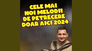 Cele Mai Noi Melodii de Petrecere Doar Aici 2024 [upl. by Marissa]