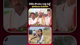 రేవంత్ పై రెచ్చిపోయిన బాలిక  Cm Revanth Reddy Comments  Lagacharla  Kodangal Lands  Mirror TV [upl. by Gerhardine795]