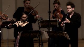 Telemann  Concerto for recorder flute strings [upl. by Estella]