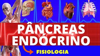 FISIOLOGIA DO PÂNCREAS ENDÓCRINO FISIOLOGIA DE GUYTON  INSULINA E GLUCAGON  FISIOLOGIA HUMANA [upl. by Ahsatam]