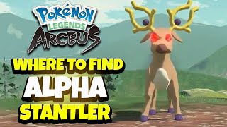 Where To Find Alpha Stantler In Pokémon Legends Arceus [upl. by Lenno]