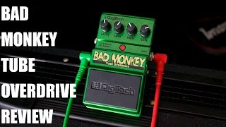 BAD MONKEY TUBE OVERDRIVE PEDAL REVIEW [upl. by Christiane]