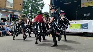 Wild Moon Morris  Mr Dolly  Petherton Folk Festival  15 Jun 2024 [upl. by Saffren]