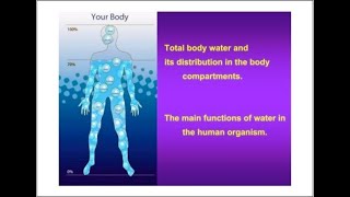 Water distribution regulation and disturbances in the body  by Dr Anum Minal [upl. by Obeded]