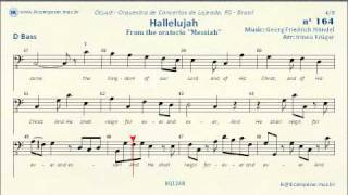 164  Hallelujah  Double Bass [upl. by Enilrad]