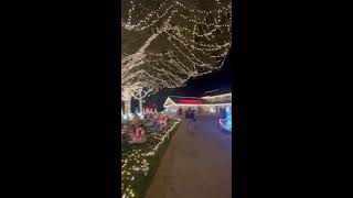 Ultimate Christmas Lights House [upl. by Stilla]