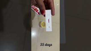 how to use pregnancy test kit after how many days pregnancy canbe confirmed by urine testpregakem [upl. by Fawne]